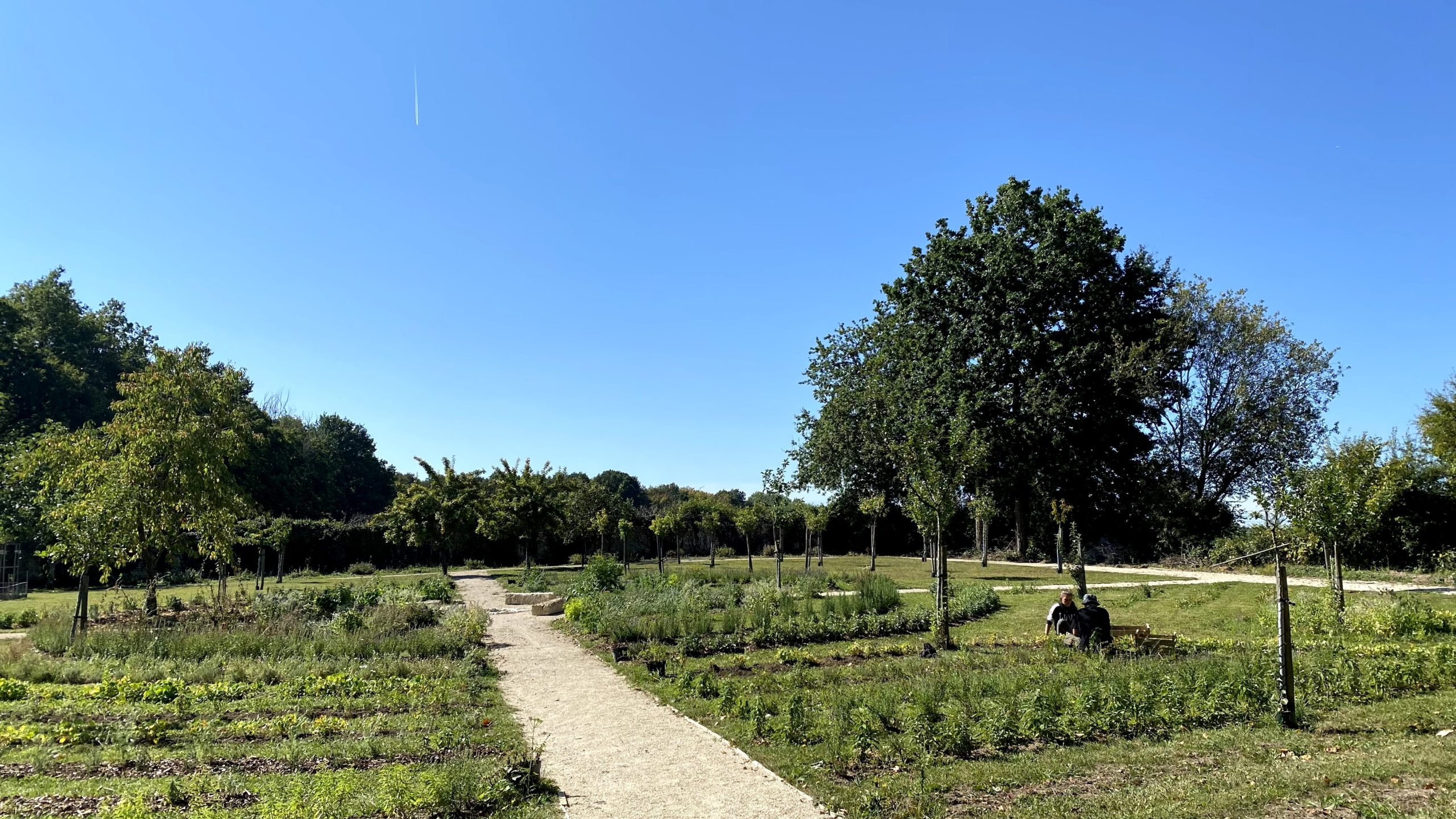 Le jardin des simples et aromatiques du Domaine de Flotin